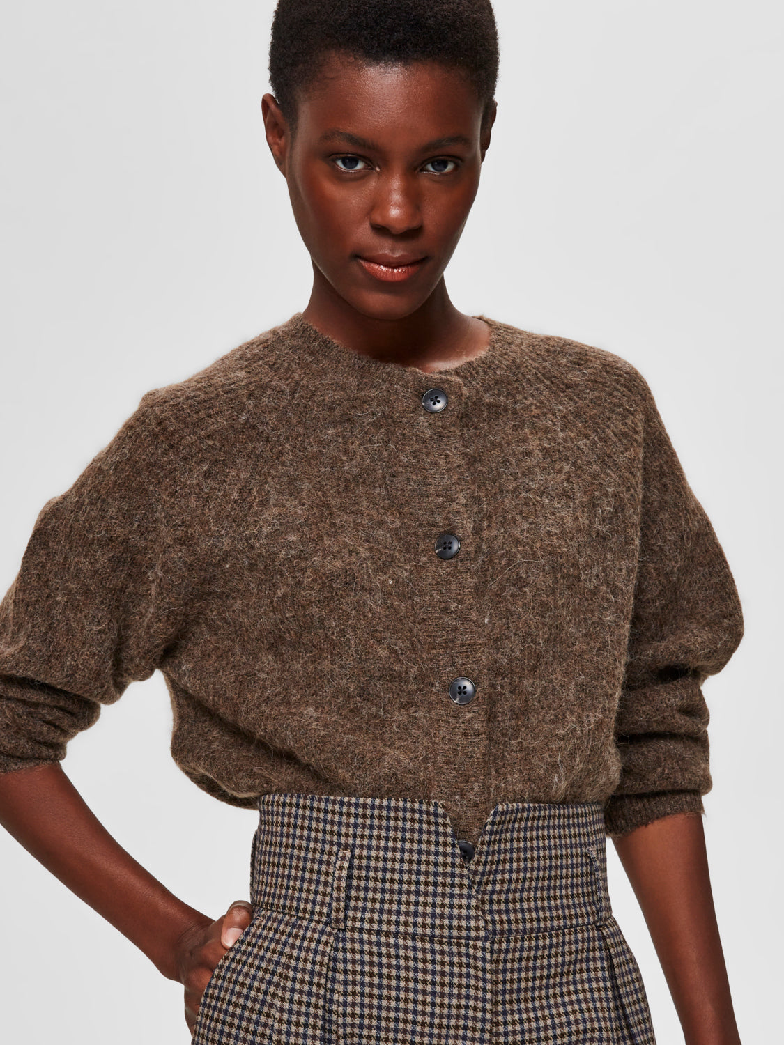 SLFLULU Cardigan - dachshund